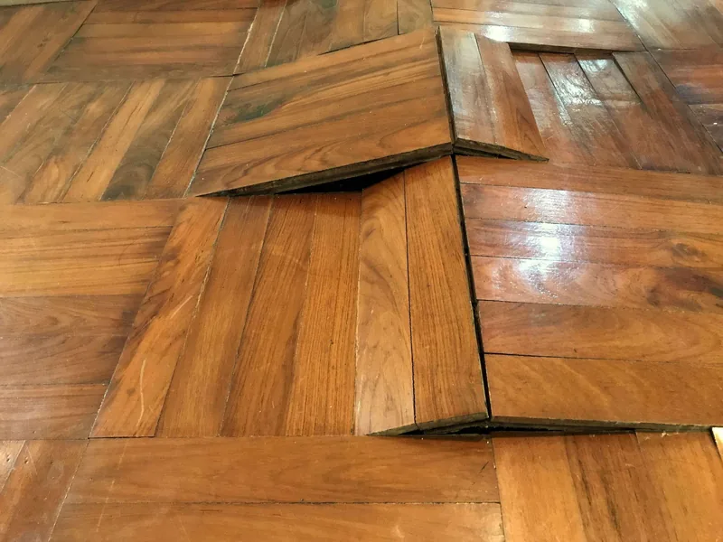 Buckled hardwood boards tented up off the subfloor with the joints standing open